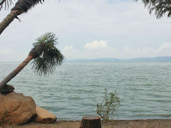 -捞渔河湿地公园
