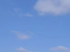 -春花秋色城市公园