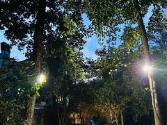 -野蔓果·山野菜(西湖景区·龙井茶田店)