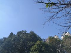 -桃花岭景区