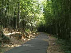 -苏州环秀晓筑养生度假村
