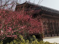 -石湖景区