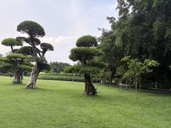 -南宁南湖公园