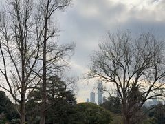 -墨尔本皇家植物园