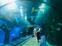 -福州罗源湾海洋世界旅游区