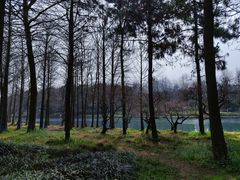 -西溪国家湿地公园