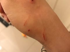 -纳吉亚猫专科动物诊疗中心(蒋宅口分院)
