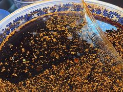 -兰州-西固陈记牛肉面·烧烤(山阴路店)