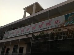 -霞姐屯昌枫木香草鸭店(海螺店)