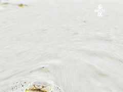 -白沙滩