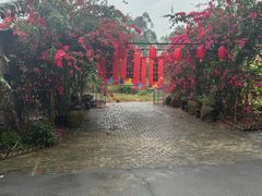 -扬美古镇景区