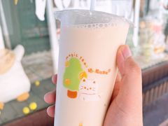 -猫的魔法密林(衣裳街店)