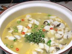 -青花椒花椒鱼(合生汇店)