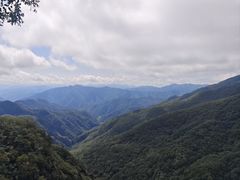 -牛背梁国家森林公园