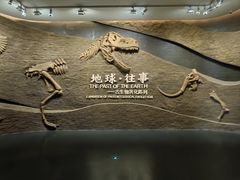 -柳州白莲洞洞穴科学博物馆