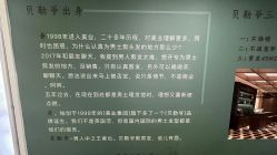 点击看大图 -贝勒爷专业男发