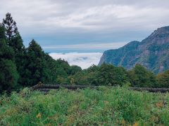 -金盆阿嬷香菇茶叶蛋(玄光店)