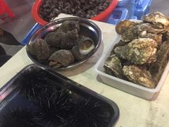 -食海部落
