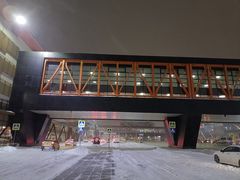 -谢列梅捷沃国际机场