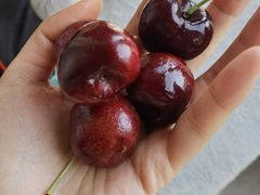 樱桃-胡家庙水果批发市场