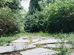 -北坞公园