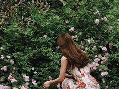 -白鹭湾湿地公园