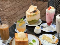 -Fern Forest Cafe