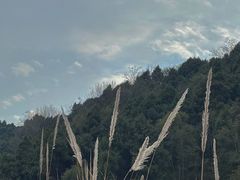 -金堂县云顶石城风景区