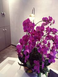 -SEBASTIAN塞巴斯汀