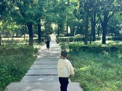 -唐城墙遗址公园