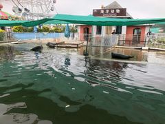 -渔岛海洋度假区