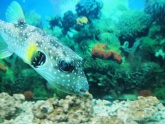 -泉州海丝野生动物世界