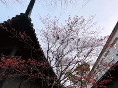 -拙政园