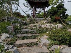 -上海滨江森林公园