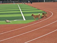 -中天钢铁体育馆(南一门店)