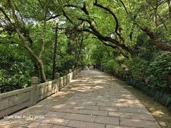 -吴山景区