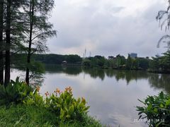 -海珠湖公园