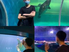 -青岛海底世界-水族馆