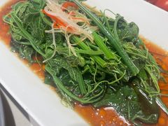 -杨氏青龙虾·羊蝎子(托乐嘉店)