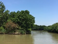 -大湾区中央湿地公园