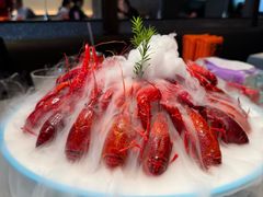 -杨氏青龙虾·羊蝎子(金盛路总店)