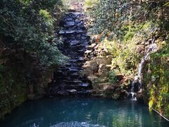 -十八棵（老龙井）御茶园(老龙井店)