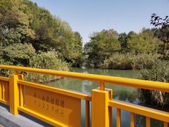 -青枫公园
