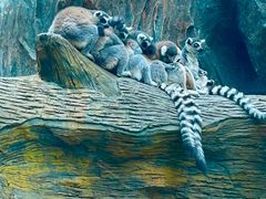 -鄂尔多斯野生动物园