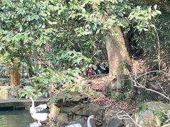 -兰亭风景区