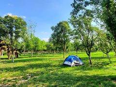 -汉长安城未央宫国家考古遗址公园