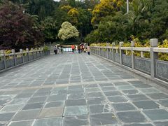 -深圳国际园林花卉博览园