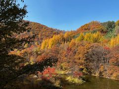 -本溪汤沟绿石谷森林公园