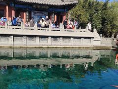 -百脉泉景区