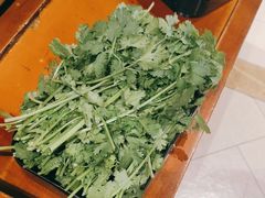 -佬土鹅肠火锅(扬中步行街店)